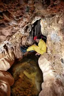 Cova de la Cabrota - Miniatura 8, Lladurs