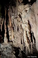 Avenc dels Tres - Miniatura 8, Begues