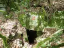 Cova de la Sala - Miniatura 1, Mont-ral