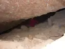 Cova dels Pilons - Miniatura 3, Sarroca de Bellera