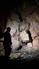Grallera de Catllarí - Thumbnail 4, Fígols