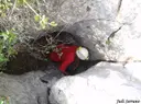 Avenc Sense Nom - Thumbnail 2, Torroella de Montgrí