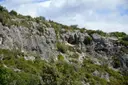 Cova de Segarulls - 缩略图 1, Olèrdola