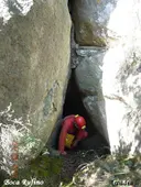 Coves del Rufino - Miniatura 1, Arbolí