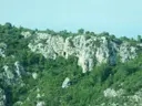 Cova de la Duna - Miniatura 1, Gelida