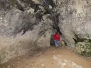 Cova del Curro-font dels Adells - Miniatura 3, Alfara de Carles