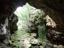 Cova dels Mosquits - Miniatura 6, Sant Esteve de la Sarga