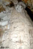 Grallera Petita d'Alsamora - Thumbnail 6, Sant Esteve de la Sarga