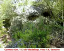 Covetes de Viladellops - Miniatura 1, Olèrdola