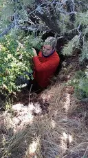 Forat de Lo Coscoll - Miniatura 1, Sant Esteve de la Sarga