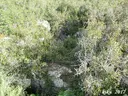 Cau de la Serp - Thumbnail 1, Torroella de Montgrí