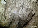 Forat de la Nit - Thumbnail 5, Torre de Claramunt, La