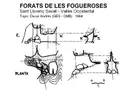 Forats de les Fogueroses - Miniatura 1, Sant Llorenç Savall