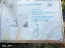 Els Cisternons - Thumbnail 5, Torroella de Montgrí