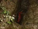 Cova del Fondal - Miniatura 1, Matadepera