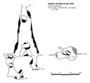 Avenc de Boca de Foix - Thumbnail 1, Tivenys