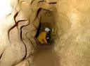 Cova dels Muricecs - Miniatura 8, Llimiana