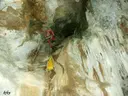 Querant de Meià - Miniatura 4, Vilanova de Meià