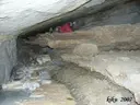 Cova del Brugal - Miniatura 5, Sant Esteve de la Sarga