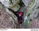 Avencs Nr-4-5-6 - Miniatura 8, Mont-ral