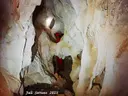 Cova de la Moleta - Miniatura 4, Capafonts