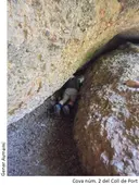 Cova Nº2 de Coll de Port - Miniatura 2, Bruc, El