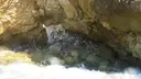 Foradada del Pati Blau - Miniatura 4, Sant Pere de Ribes