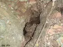 la Font Falsa de Guanta - Миниатюра 4, Sentmenat