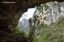 Coves d'Aiguadonzella - Miniatura 3, Roquetes