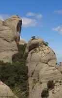 Cova de l'Agulla Manolito García - Miniatura 1, Bruc, El