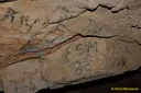 Cova del Bisbe - Miniatura 6, Sales de Llierca