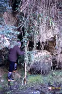 Balma del Pont Nou - Thumbnail 1, Sant Feliu de Pallerols