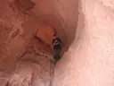 Cova Foradada - Thumbnail 3, Mont-roig del Camp