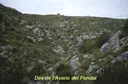Avenc del Fondal - Miniatura 2, Begues