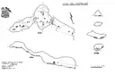 Cova del Castellot - Thumbnail 3, Castellví de la Marca