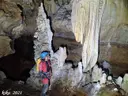 Cova d'en Peixet - Miniatura 21, Febró, La