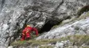 Grallera del Carabasser - Miniatura 2, Saldes