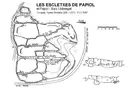 Escletxes de Papiol - صورة مصغرة 2, Papiol, El