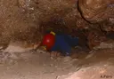 Cova dels Toixons - Miniatura 3, Matadepera