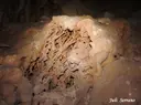 Cova de la Calavera - Thumbnail 6, Mont-ral
