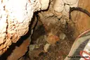 Avenc Net - Miniatura 5, Begues