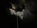 Forat Micó - Miniatura 4, Sanaüja