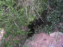 Forat 1 del Furgó - Miniatura 2, Tortosa