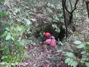 Avenc de l'Arbre - Miniatura 3, Mont-ral