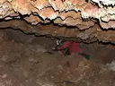 Avenc del Julivert - Miniatura 3, Vimbodí i Poblet