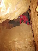 Forat Nº2 de Coll de Montfort - Thumbnail 3, Arnes
