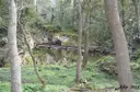 Cova del Reclau Viver - صورة مصغرة 2, Serinyà