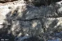 Esquerda del Camí de l'oró - Thumbnail 3, Àger
