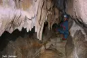 Cova-avenc del Mas d'en Toni - Miniatura 9, Mont-ral