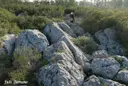 Els Cisternons - Thumbnail 4, Torroella de Montgrí